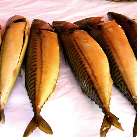 Boats & Yachts At Harbor By Kuhnle-tours